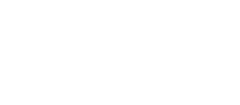 Wahdah Inspirasi Zakat Pinrang