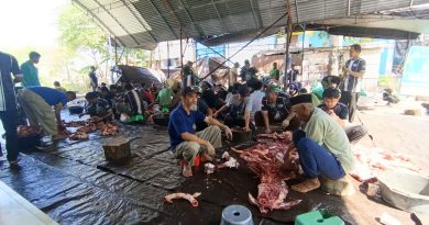 Wahdah Islamiyah Pinrang Sembelih 41 Hewan Kurban pada Iduladha 1447 H