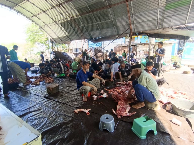 Wahdah Islamiyah Pinrang Sembelih 41 Hewan Kurban pada Iduladha 1447 H